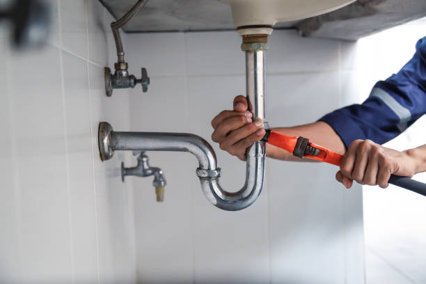 Best Plumbing Services Near Me  in Flomaton, AL